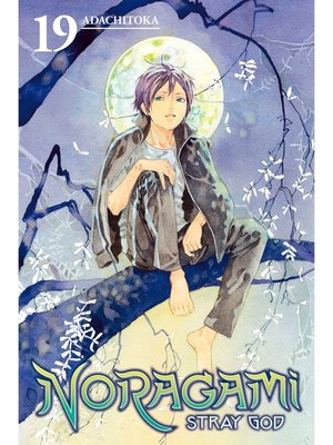 cover image of Noragami: Stray God, Volume 19
